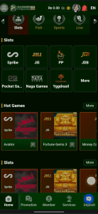 PAKWIN88 Game | Download Latest Version For Android 1